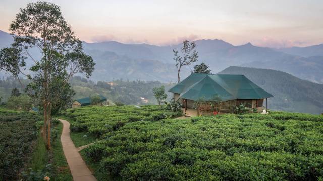 Signature Sri Lanka | The Island of Serendipity