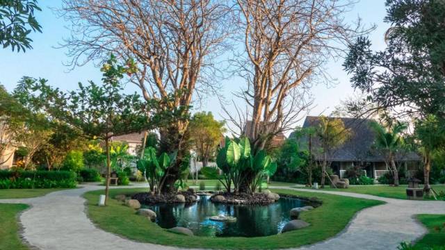 Signature Indonesia | The Sacred Wild Isles