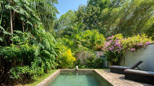 Signature Sri Lanka | The Island of Serendipity