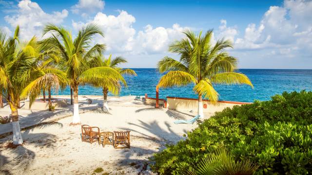 New Orleans & Western Caribbean Cruise