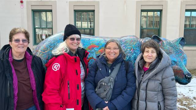 Alaska Northern Lights