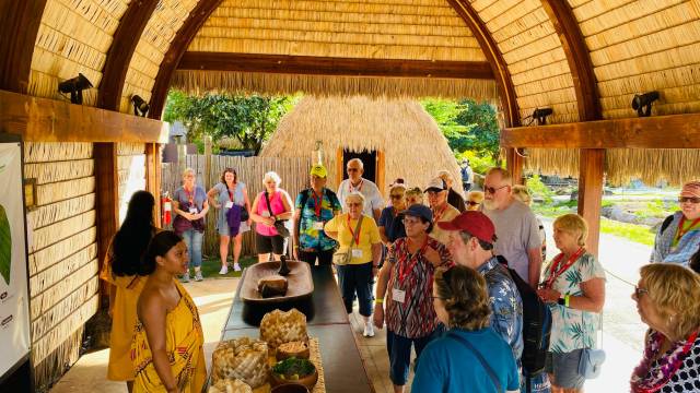 Hawaiian Islands Cruise & Tour