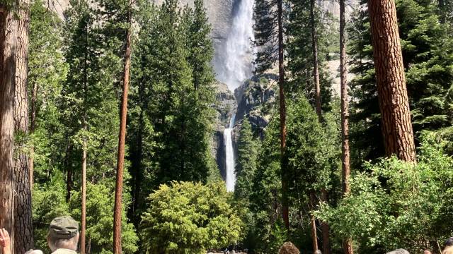 California and National Parks