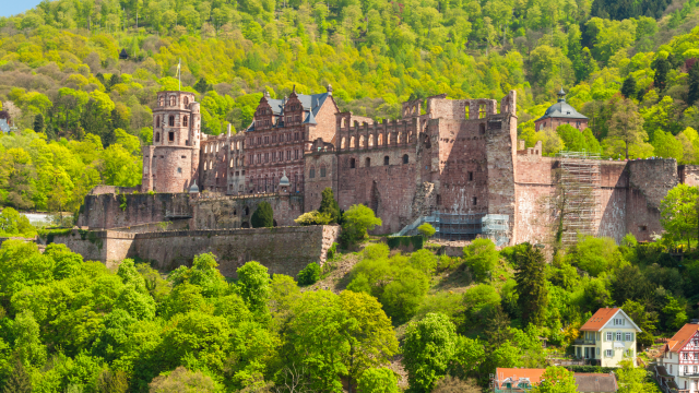 Rhine River Cruise in Tulip Season 2026