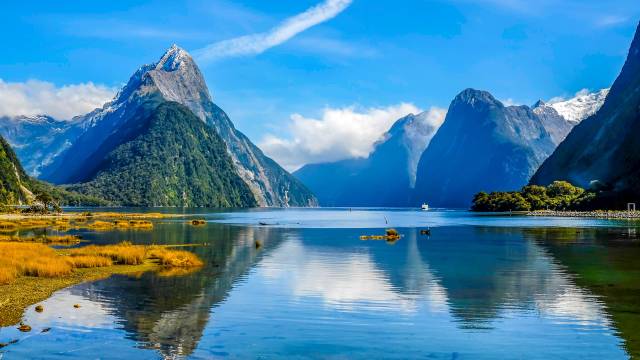 Highlights of Australia & New Zealand Cruise 2026