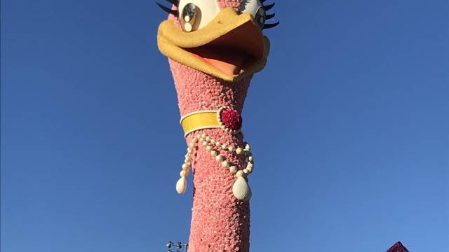 Rose Parade & Los Angeles Tour – December 2025 Departure