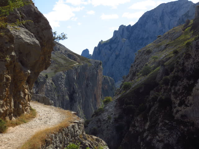 high path on the picos de europa