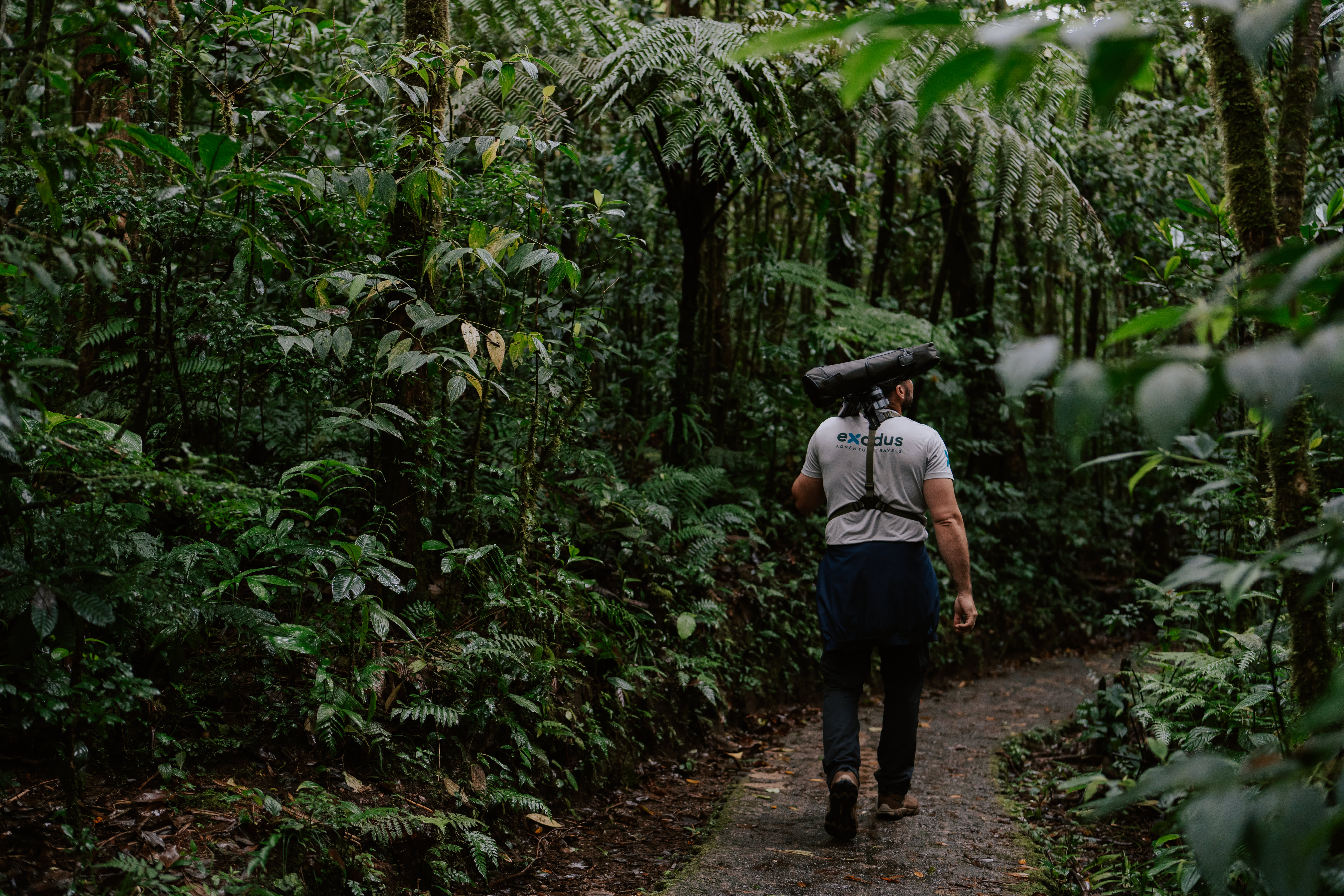 Monteverde Cloud Forest