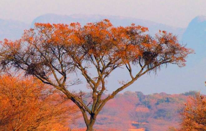 South Africa