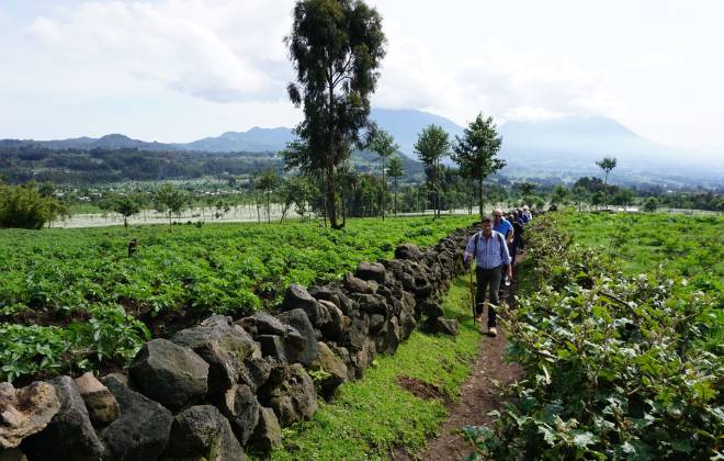 a group of people standing in a garden