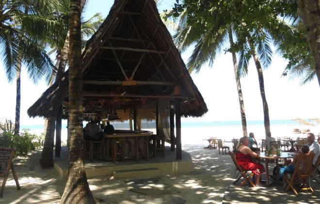 a group of people standing next to a palm tree