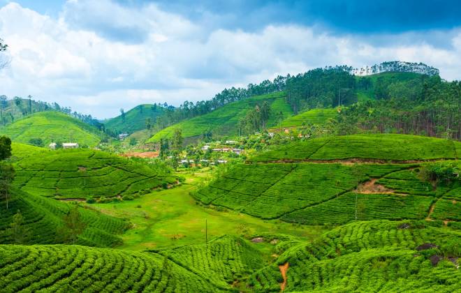Best Time To Visit Sri Lanka