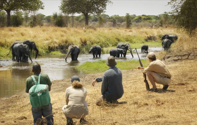 Tarangire National Park in Tanzania