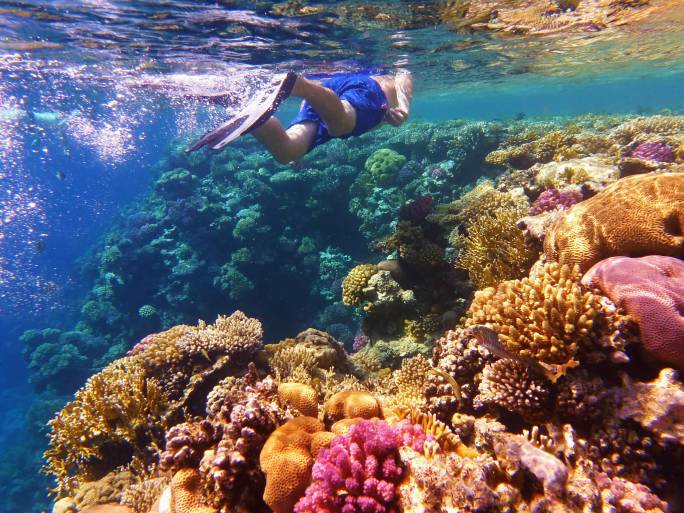 Scuba Diving in Seychelles