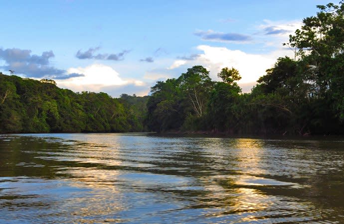 Amazon River