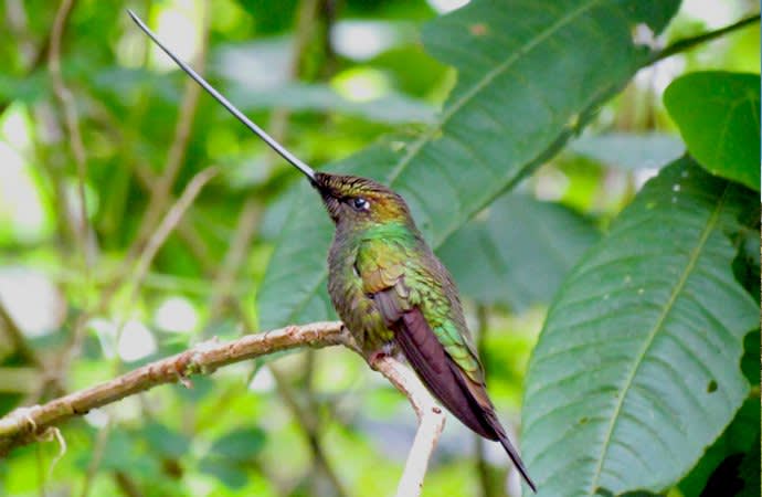 First Time Experience in Ecuador