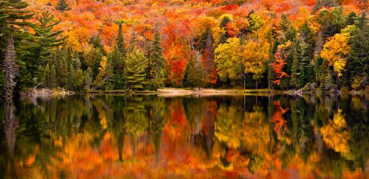 Autumn in Ontario, Canada