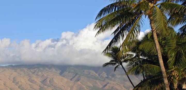 A Taste of Hawaii: Dining tips from our local expert
