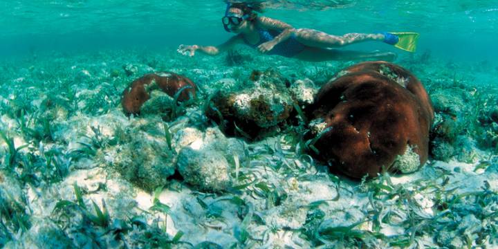 Belice Itinerario de Navegación