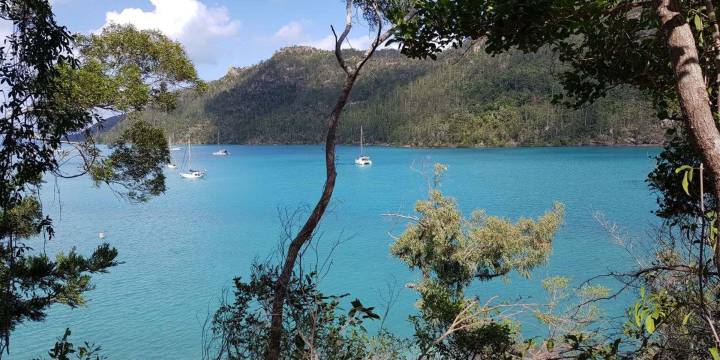 nara-inlet-whitsunday-bay-monhulls