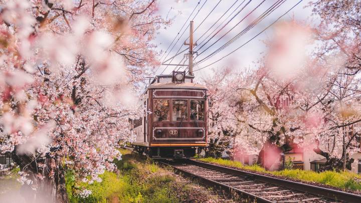 Japan – Test Page