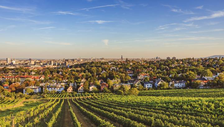 View from vineyards over Nussdorf in Vienna, Austria