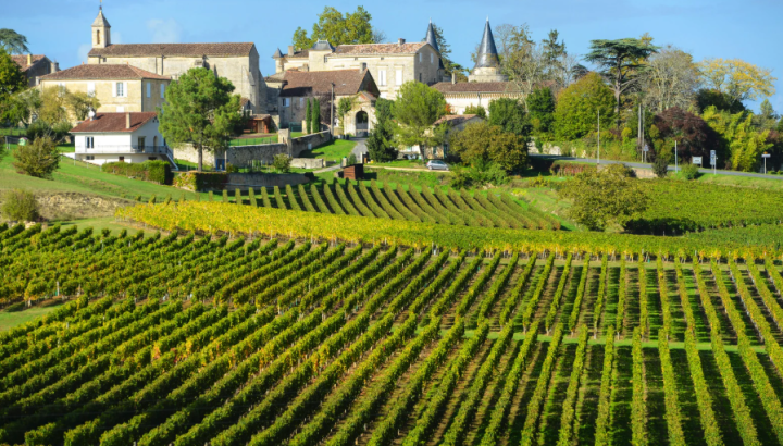 A scenic French countryside landscape featuring rows of green and yellow grapevines in a vineyard in the foreground, with a hilltop village of stone buildings, a church steeple, and a château-style tower surrounded by trees in the background, likely in the Bordeaux wine region of France during autumn.