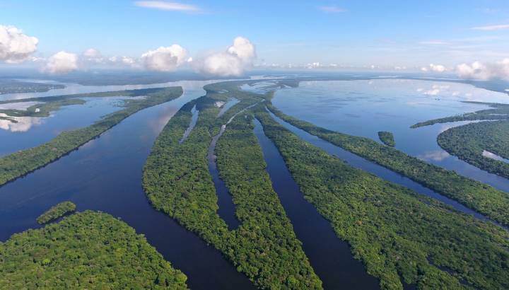 Amazonas