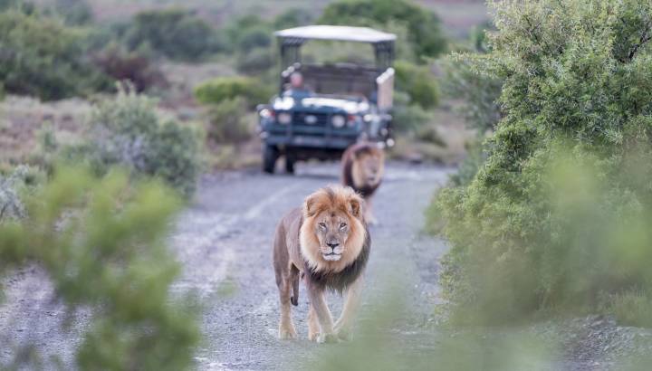 Search for Your Perfect Luxury Vacations