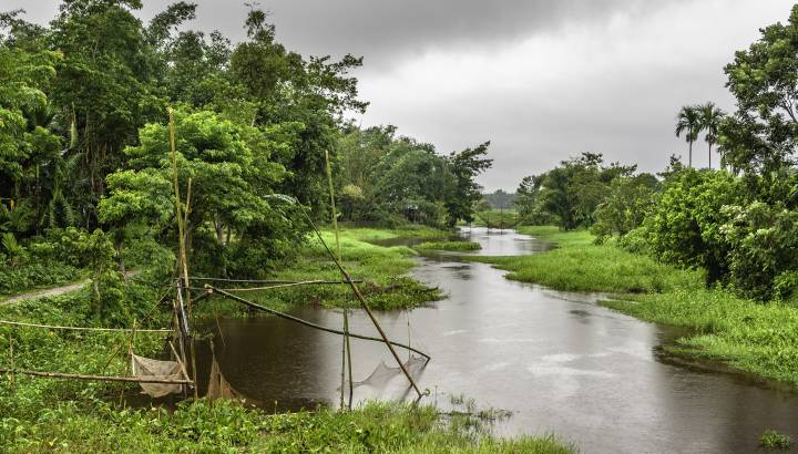 Nebenfluss des Brahmaputra gesäumt von üppiger Vegetation und Fischernetzen unweit von Jorhat in Assam, Indien