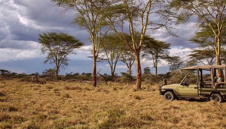 Hotel-Tanzania-Serengeti-Central-NamiriPlains-6
