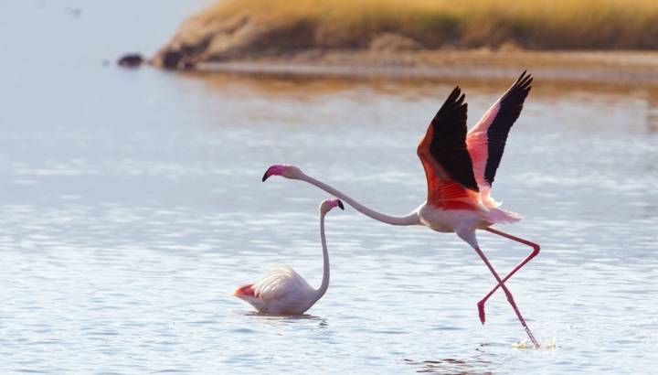 Search for Your Perfect Luxury Vacations