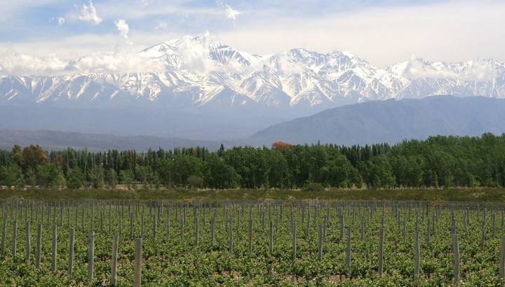 Visit Vine growing region Mendoza Argentina Vacation