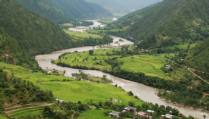 Reisfelder in Punakha, Bhutan