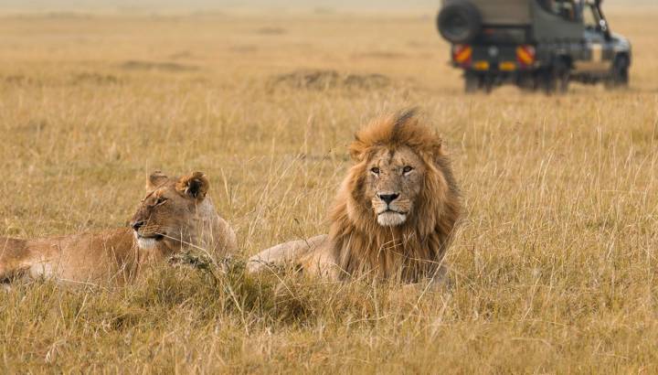 Masai Mara
