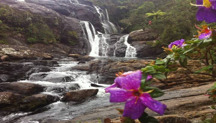 Wasserfälle und farbenfrohe Vegetation in Nuwara Eliya