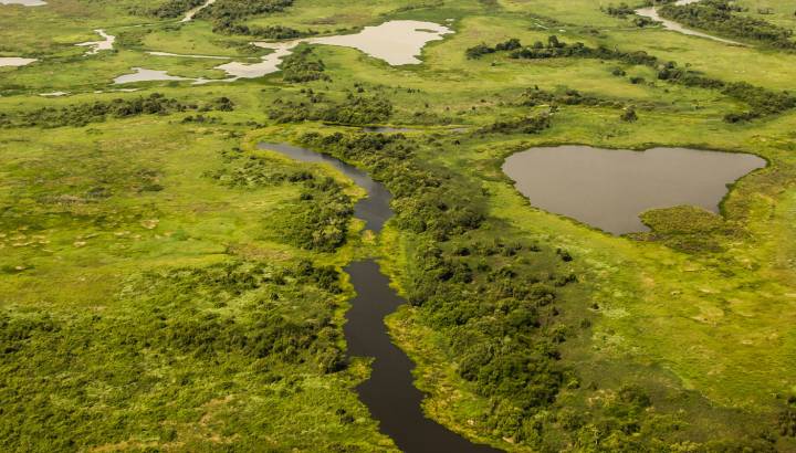 Aerial view of Pantanal wetlands, Pantanal, Brazil South America Enchanting Travels