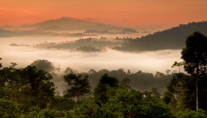 Asia Danum Valley, Sabah, Borneo, Malaysia Enchanting Travels