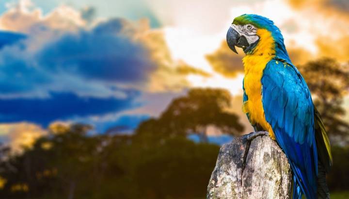 Search for Your Perfect Luxury Vacations