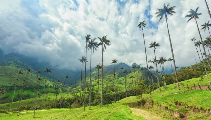 Coffee Region Colombia
