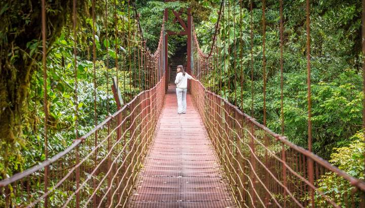 Costa Rica, hanging suspended bridges in Monteverde