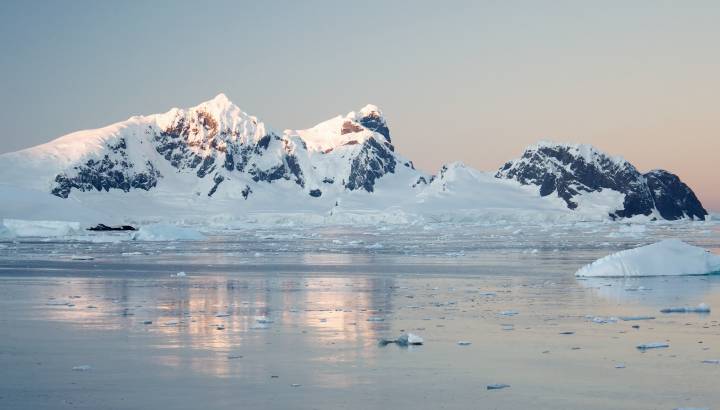 Sunrise over antarctic peninsula - Things to do in Antarctica