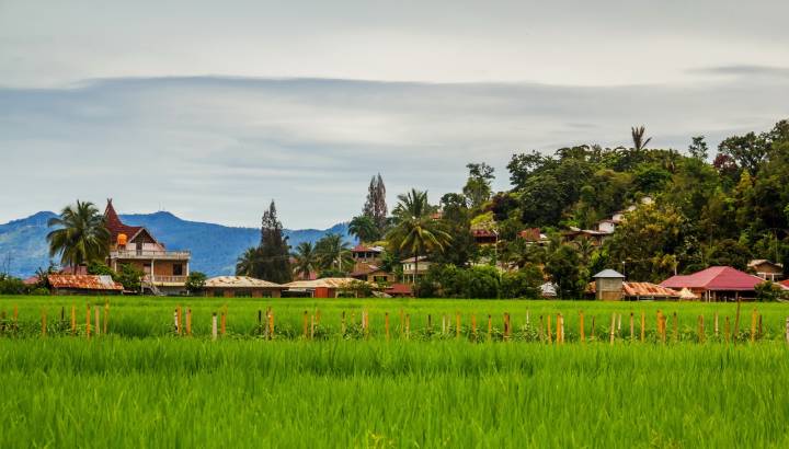 Rural scene of Samosir Island Indonesia, Asia Tours