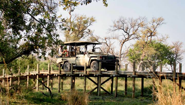 Enchanting Travels-Botswana Tours-Okavango Delta--Pom Pom Camp-Game drive