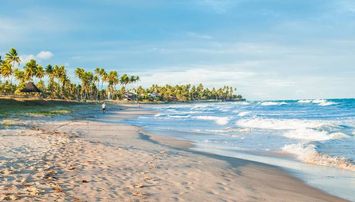 Enchanting Travels Brazil Tours porto de galinhas