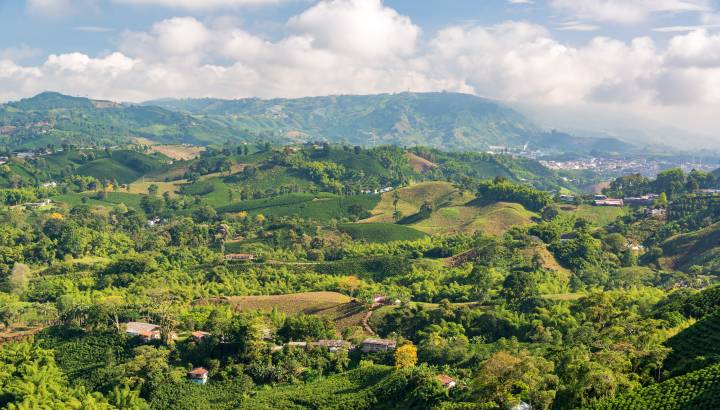 Enchanting Travels Colombia Tours Coffee Region