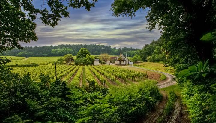 Enchanting Travels France Tours Idyllic Farm - Loire Valley