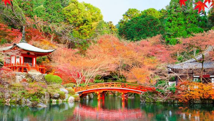 Japan Travel Guide