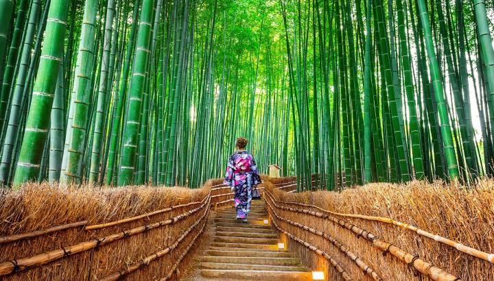 Enchanting Travels Japan Tours Kyoto bamboo forest