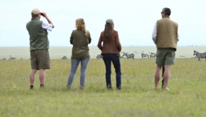 Zebra watching in Laikipia - Ol Pejeta / Solio, Kenya